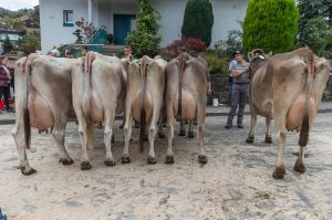 k-008Schneuter ltere